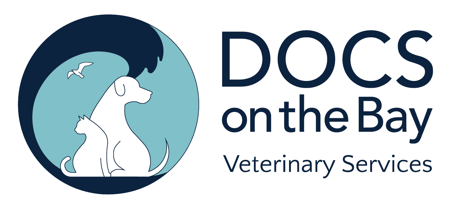 DOCS on the Bay logo