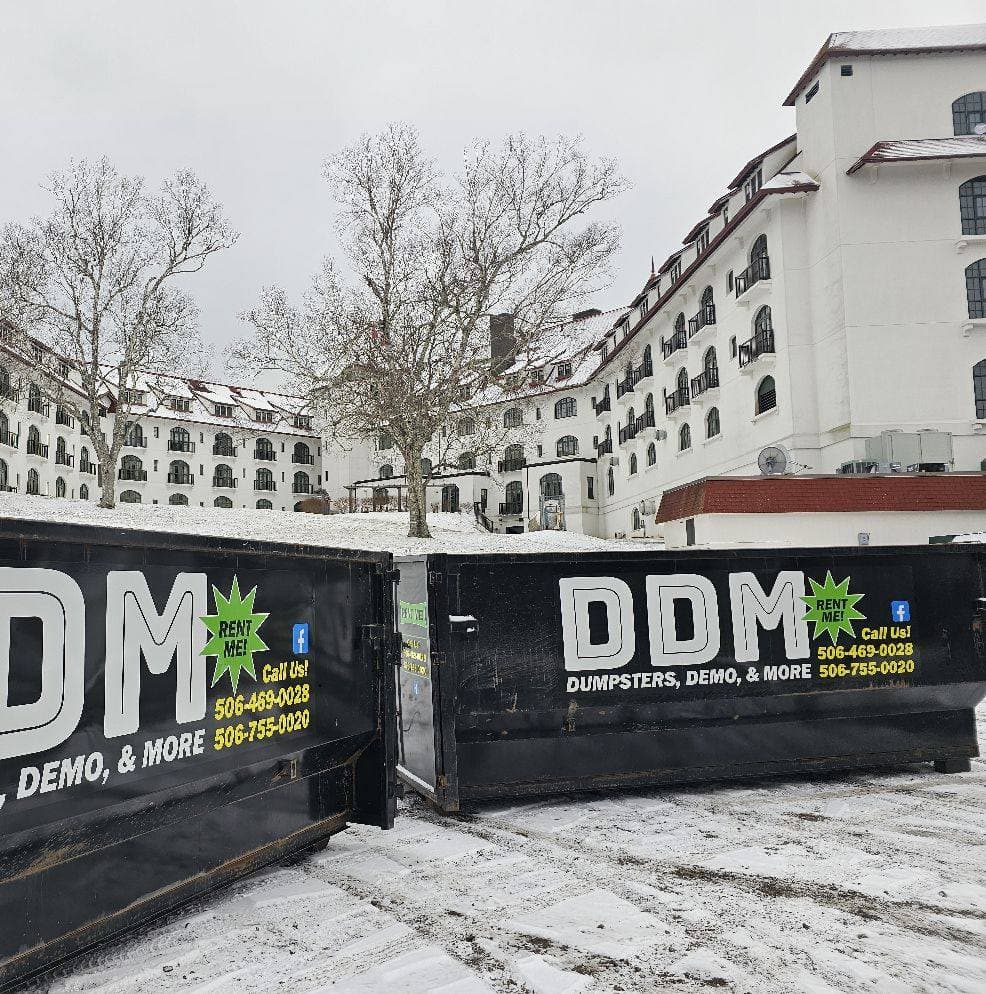 Dumpster, Demo and More logo