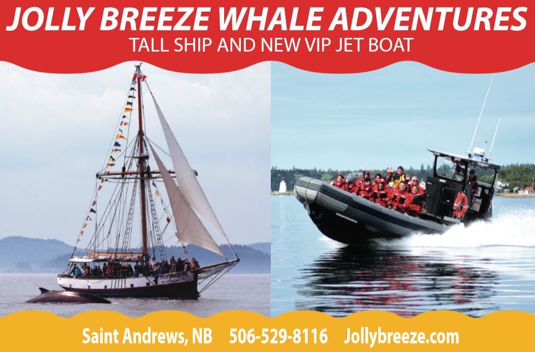 Jolly Breeze Tall Ship & VIP Zodiac Whale Adventures logo
